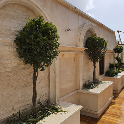 Green roof and green wall