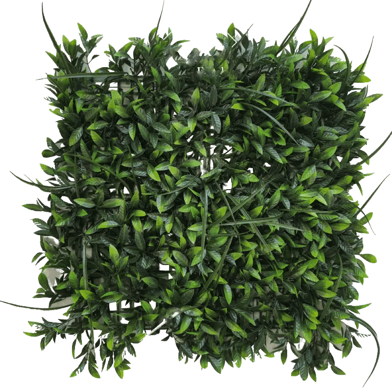 پوشش سبز دکوراتیو