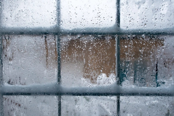 پنجره مناطق مرطوب